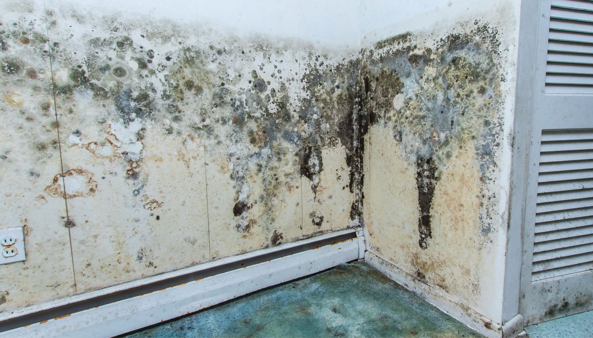 Professional mold removal, odor control, and water damage restoration service in Baltimore, Maryland.